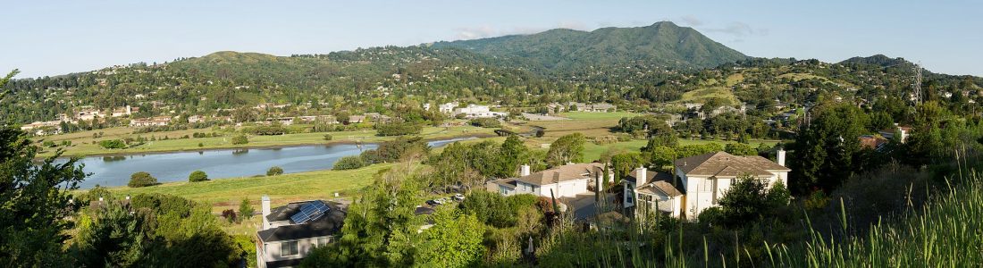 Mill Valley Marin County CA Professional Personal Organizer Relocation consultant move concierge Mill Valley Marin County CA